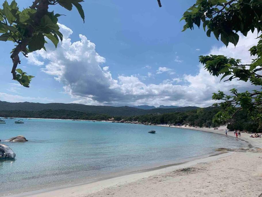 Piana Villa Porto-Vecchio  Eksteriør billede